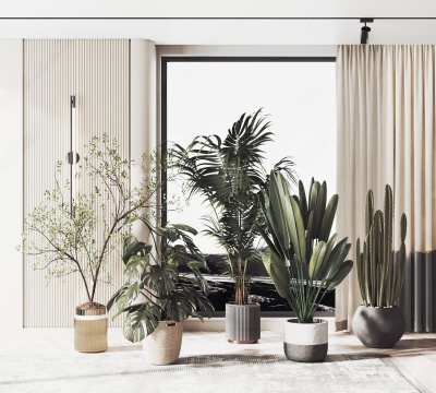 现代绿植盆栽组合3D模型下载